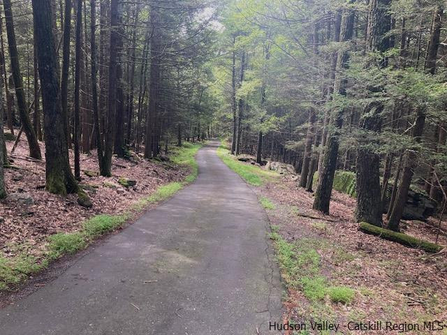 61 Rocky Road Olivebridge, NY 12461 - Photo 25 of 29 Photo 25