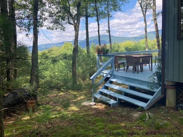 61 Rocky Road Olivebridge, NY 12461 - Photo 4 of 29 Photo 4