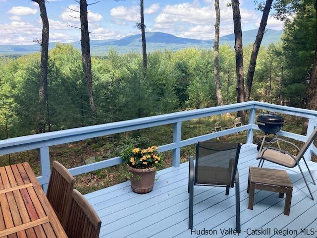 61 Rocky Road Olivebridge, NY 12461 - Photo 5 of 29 Photo 5