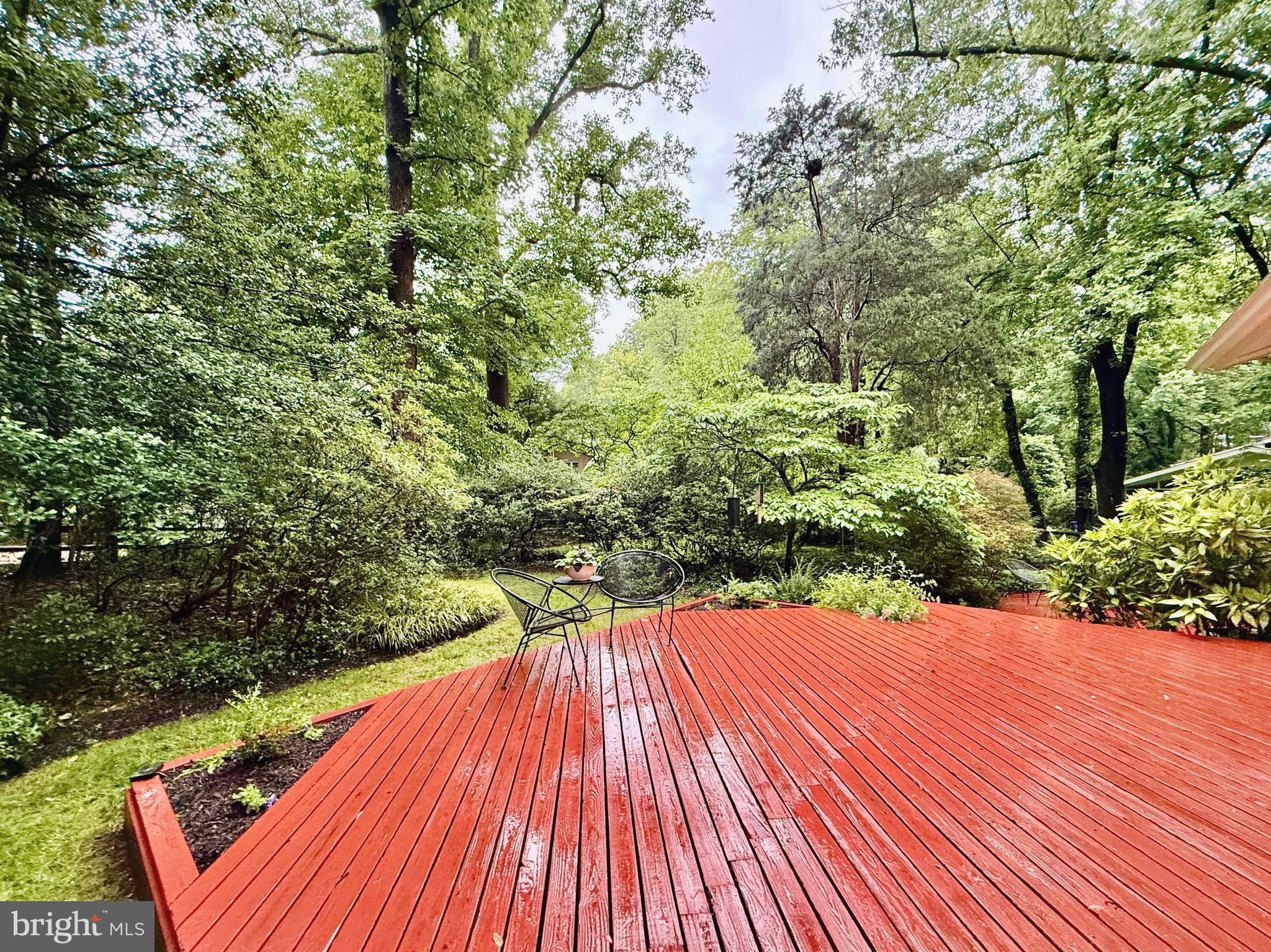 8108 Hamilton Spring Road Bethesda, MD 20817 - Photo 19 of 48