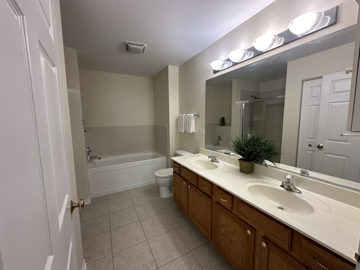 1525 Envee Drive Bolingbrook, IL 60490 - Photo 14 of 30 a bathroom with a double vanity sink mirror double and bathtub