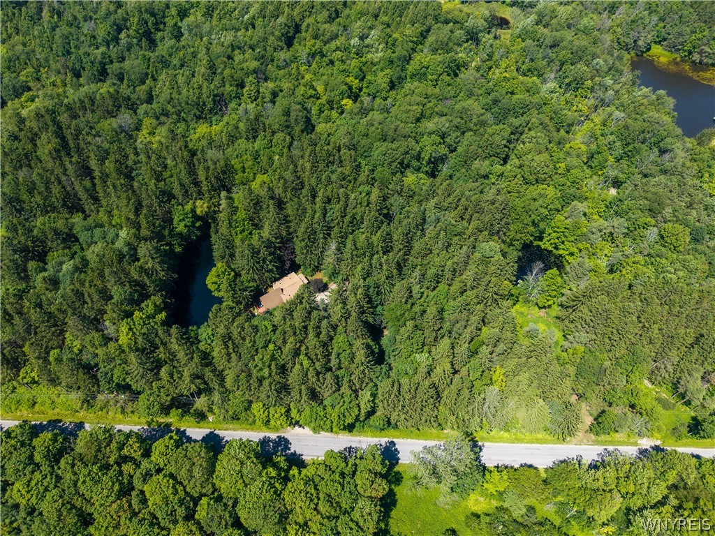 3367 Dunham Road Orangeville, NY 14569 - Photo 10 of 50 Overhead Drone view