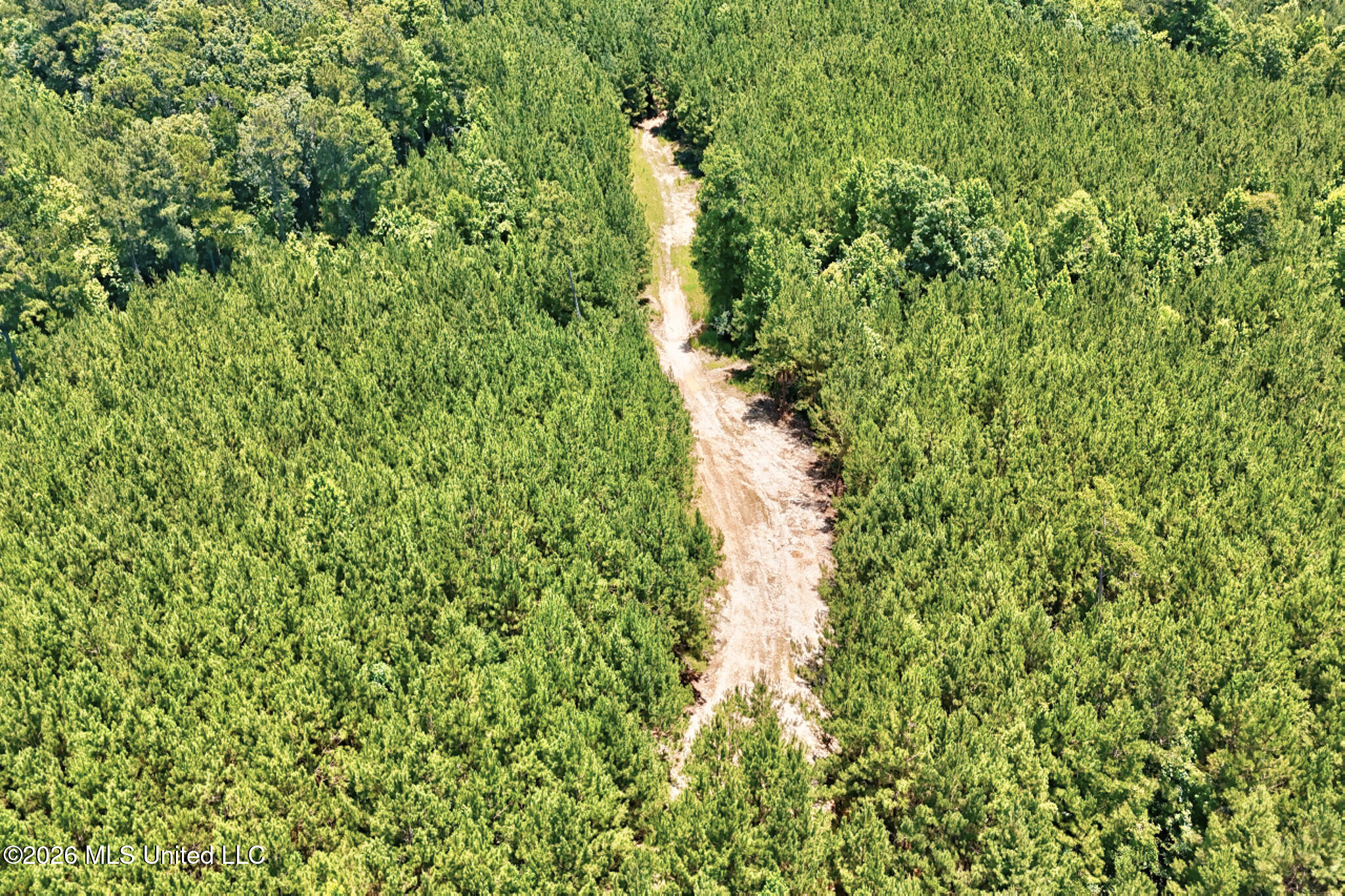 Northwest Ben Briggs Road Northwest Roxie, MS 39661 - Photo 10 of 17 DJI_20260610132202_0075_D_6_D_7_D-2