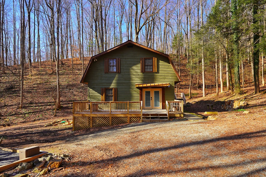 172 Sweetwater Road Cherry Log, GA 30522 - Photo 2 of 21