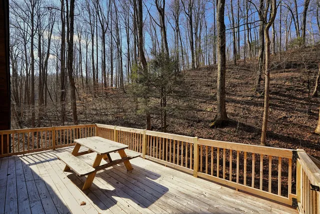 $479,900 | 172 Sweetwater Road, Cherry Log, GA 30522