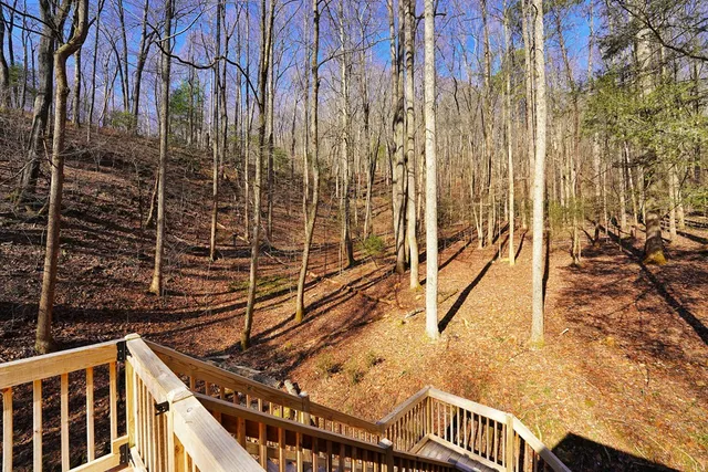 $479,900 | 172 Sweetwater Road, Cherry Log, GA 30522