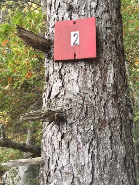Tbd Tbd Loop Lane Enfield, ME 04493 - Photo 15 of 15 Lot 2