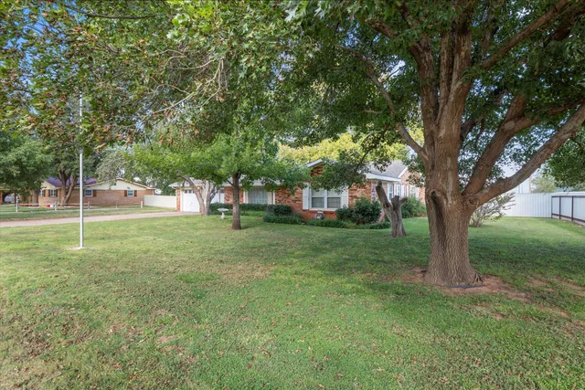 a view of a trees in front of a big yard with large trees