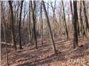 2119 Bowler Road Collinsville, IL 62234 - Photo 2 of 7