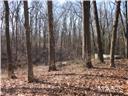 2119 Bowler Road Collinsville, IL 62234 - Photo 3 of 7