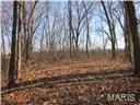 2119 Bowler Road Collinsville, IL 62234 - Photo 5 of 7