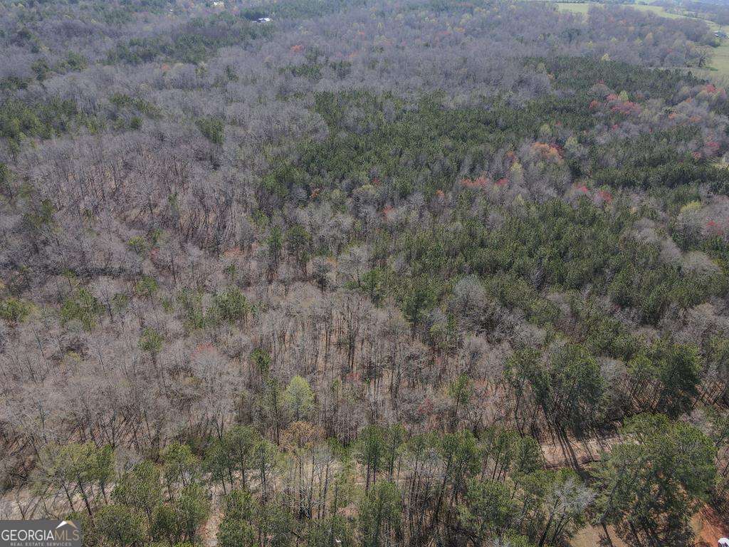 534 Craven Road Roopville, GA 30170 - Photo 2 of 4 a view of a field of grass and trees