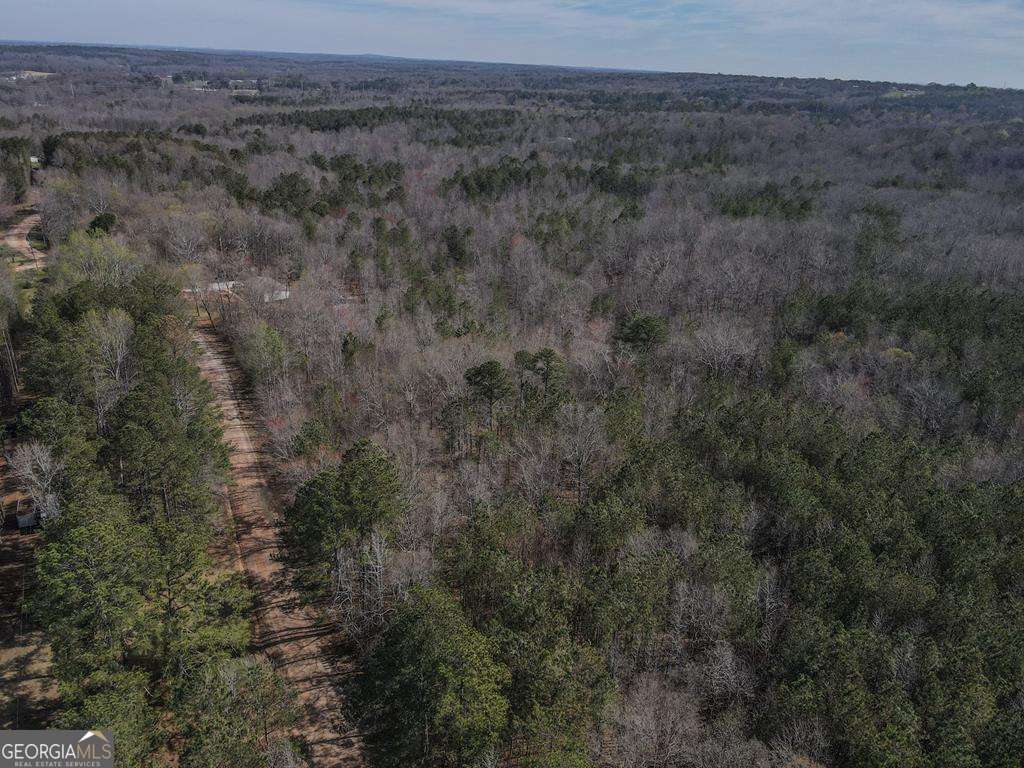 534 Craven Road Roopville, GA 30170 - Photo 3 of 4 a view of a field