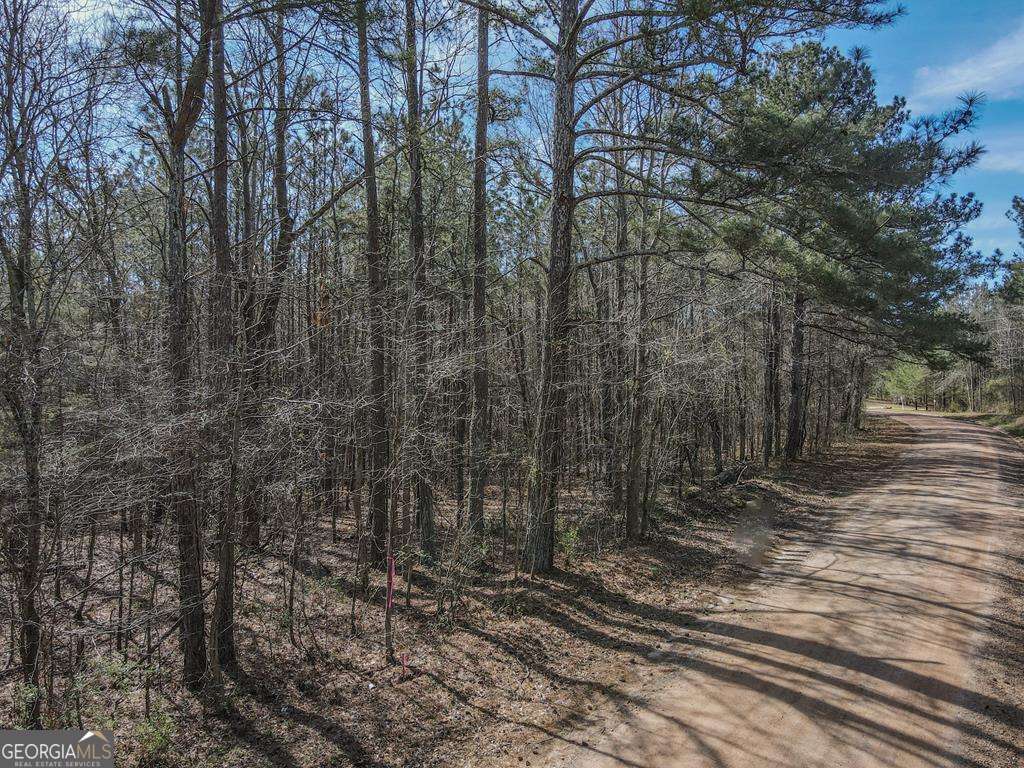 534 Craven Road Roopville, GA 30170 - Photo 4 of 4 a view of a yard with trees