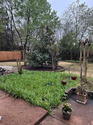 a view of a backyard with plants and a bench