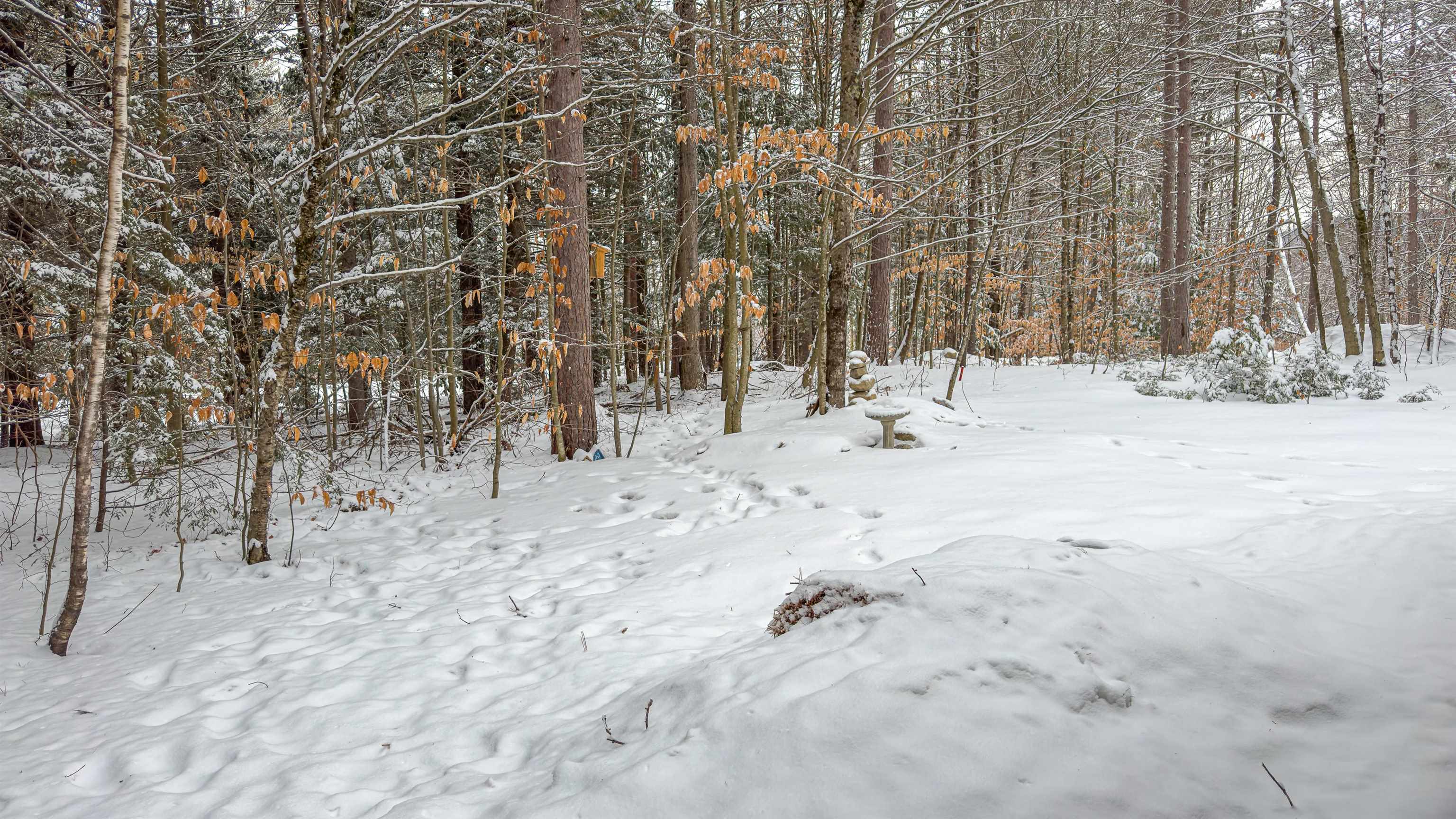 575 Allard Hill Road Madison, NH 03818 - Photo 29 of 46