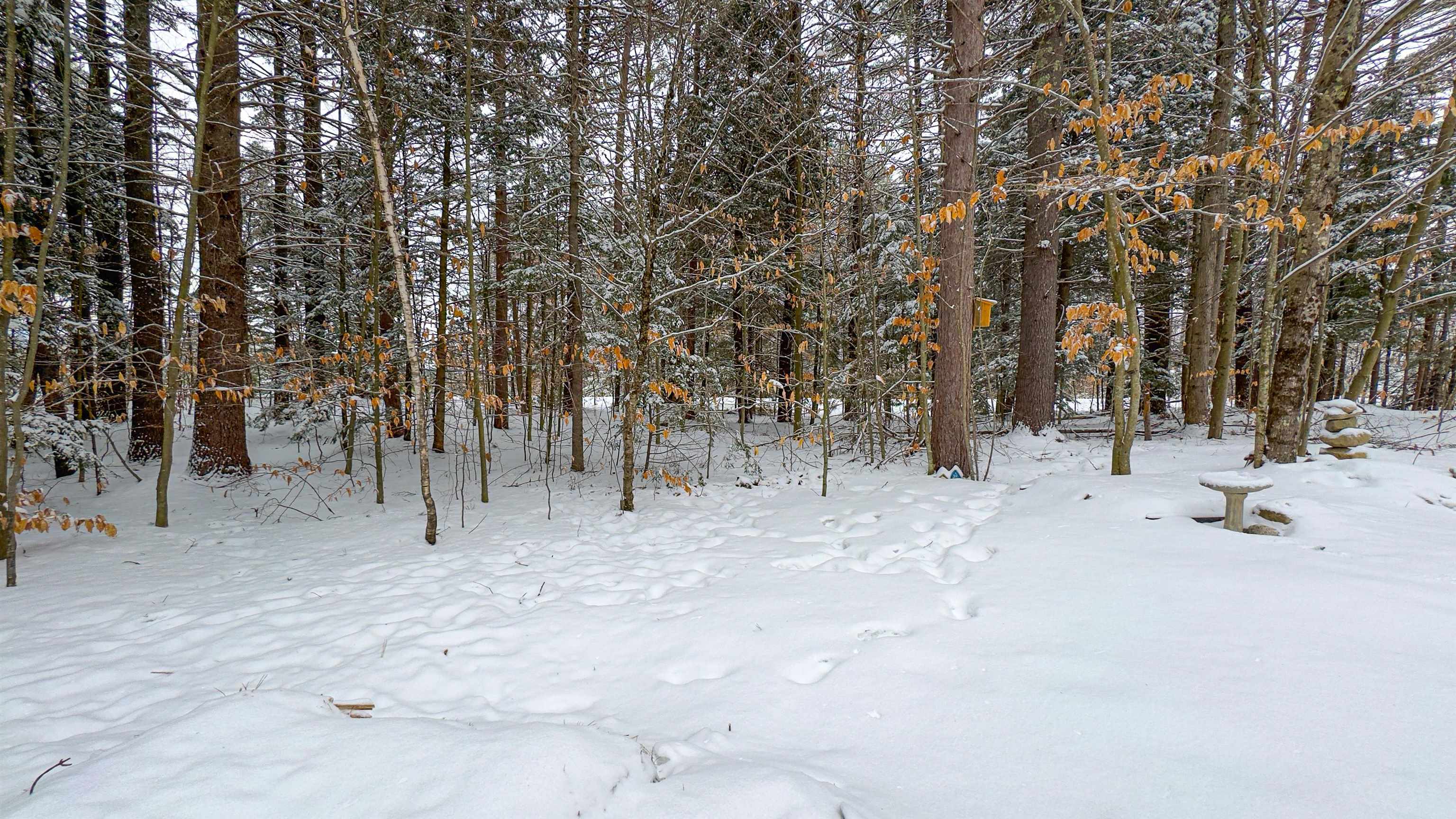 575 Allard Hill Road Madison, NH 03818 - Photo 30 of 46