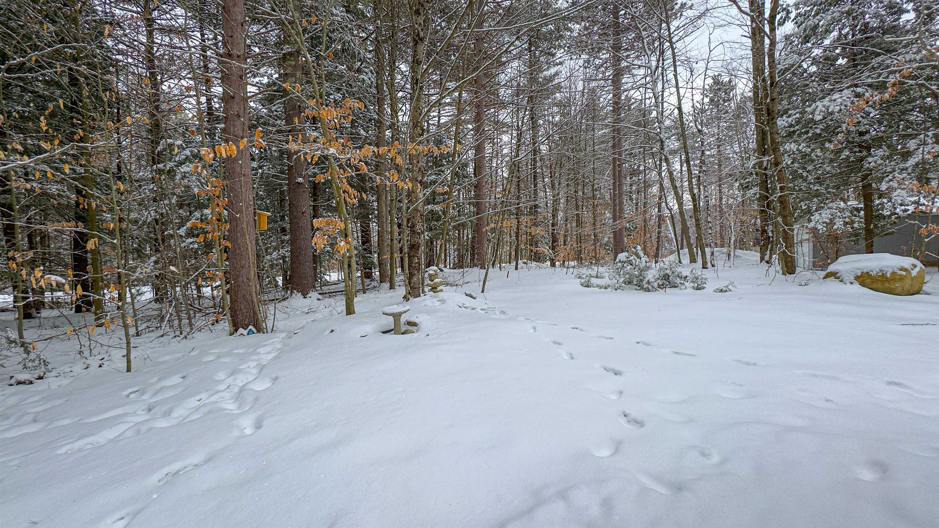 575 Allard Hill Road Madison, NH 03818 - Photo 31 of 46