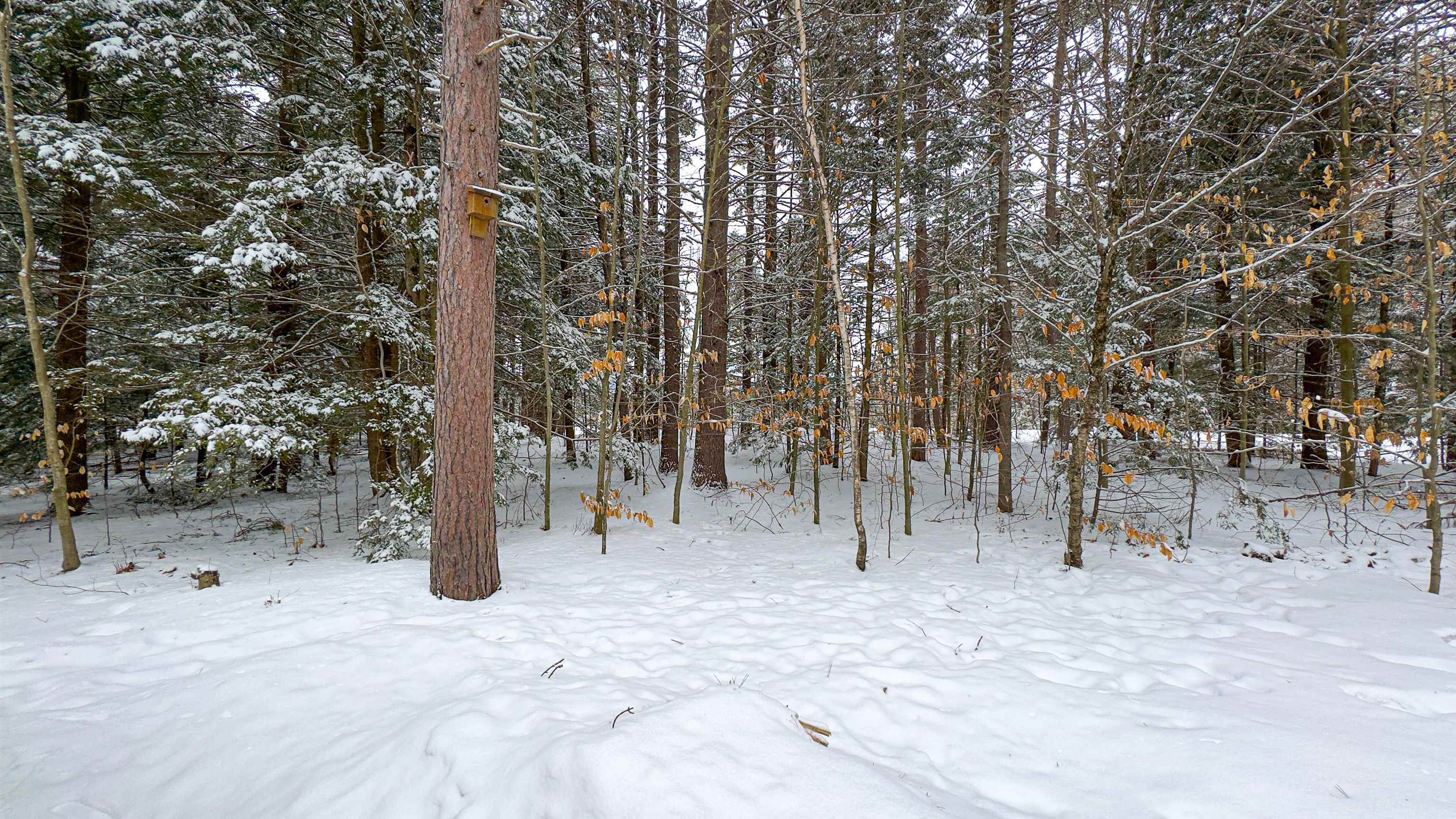575 Allard Hill Road Madison, NH 03818 - Photo 32 of 46