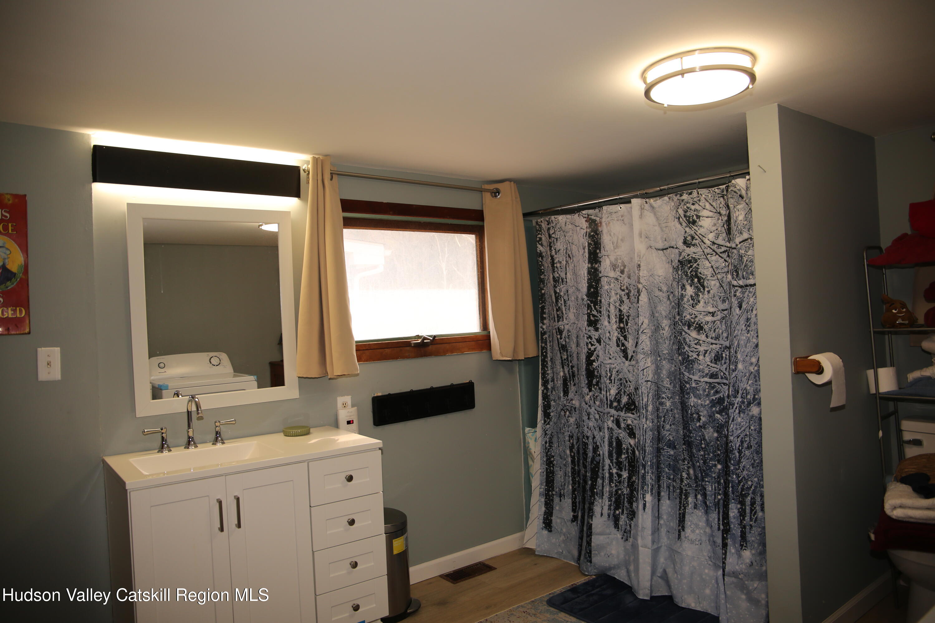 784 Old Rte 28, Unit MAIN STREET WEST OF DEPOT Fleischmanns, NY 12430 - Photo 12 of 19 a bathroom with a double vanity sink toilet and a mirror