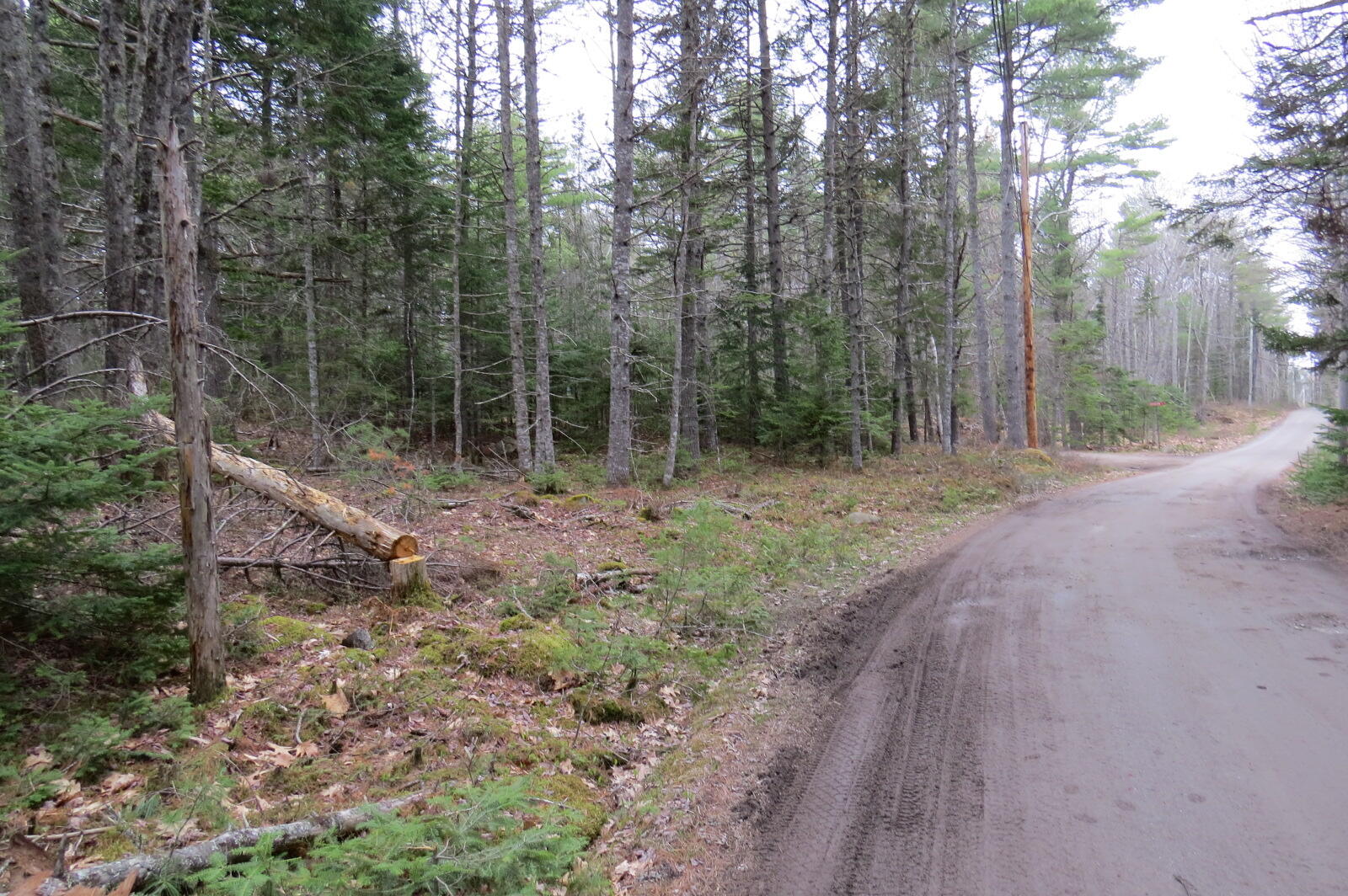 23 Porcupine Road Sullivan, ME 04664 - Photo 27 of 27 IMG_0212
