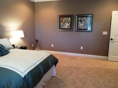 441 Tangleridge Court Inman, SC 29349 - Photo 18 of 25
