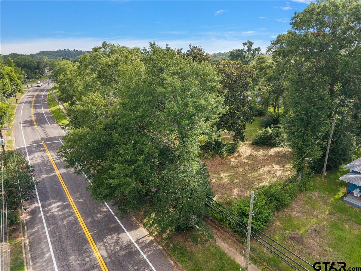 262 North Henderson Street Rusk, TX 75785 - Photo 4 of 11