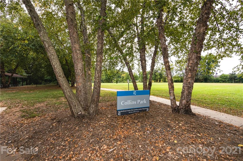 731 Lochridge Road Charlotte, NC 28209 - Photo 30 of 31 a view of a park with large trees