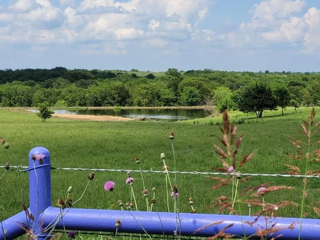 a view of a golf course with a play ground