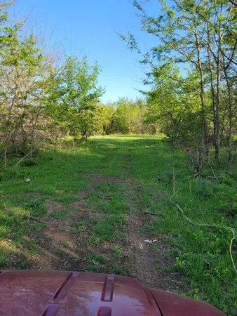 a view of a yard with a tree