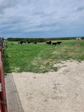 a view of a field with an ocean view