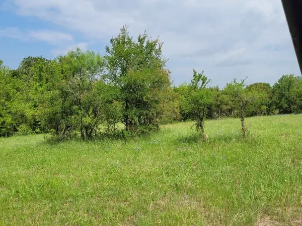 a view of a garden