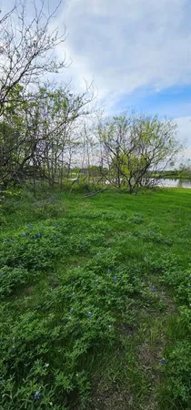 a view of a big yard with lots of green space