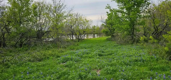 a view of yard with green space