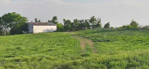 a fire hydrant in the middle of a field