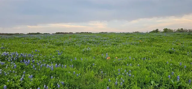 a view of an ocean and a mountain