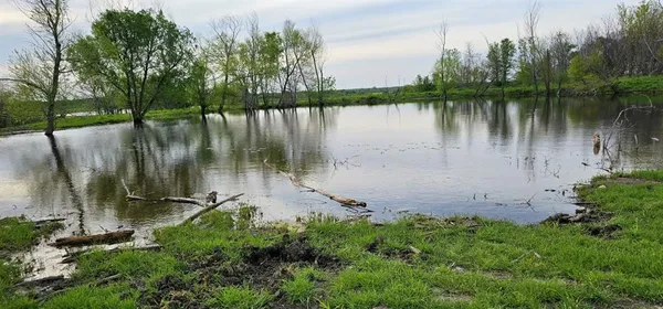 a body of water with a tree in the background