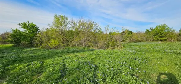a view of a field with large trees