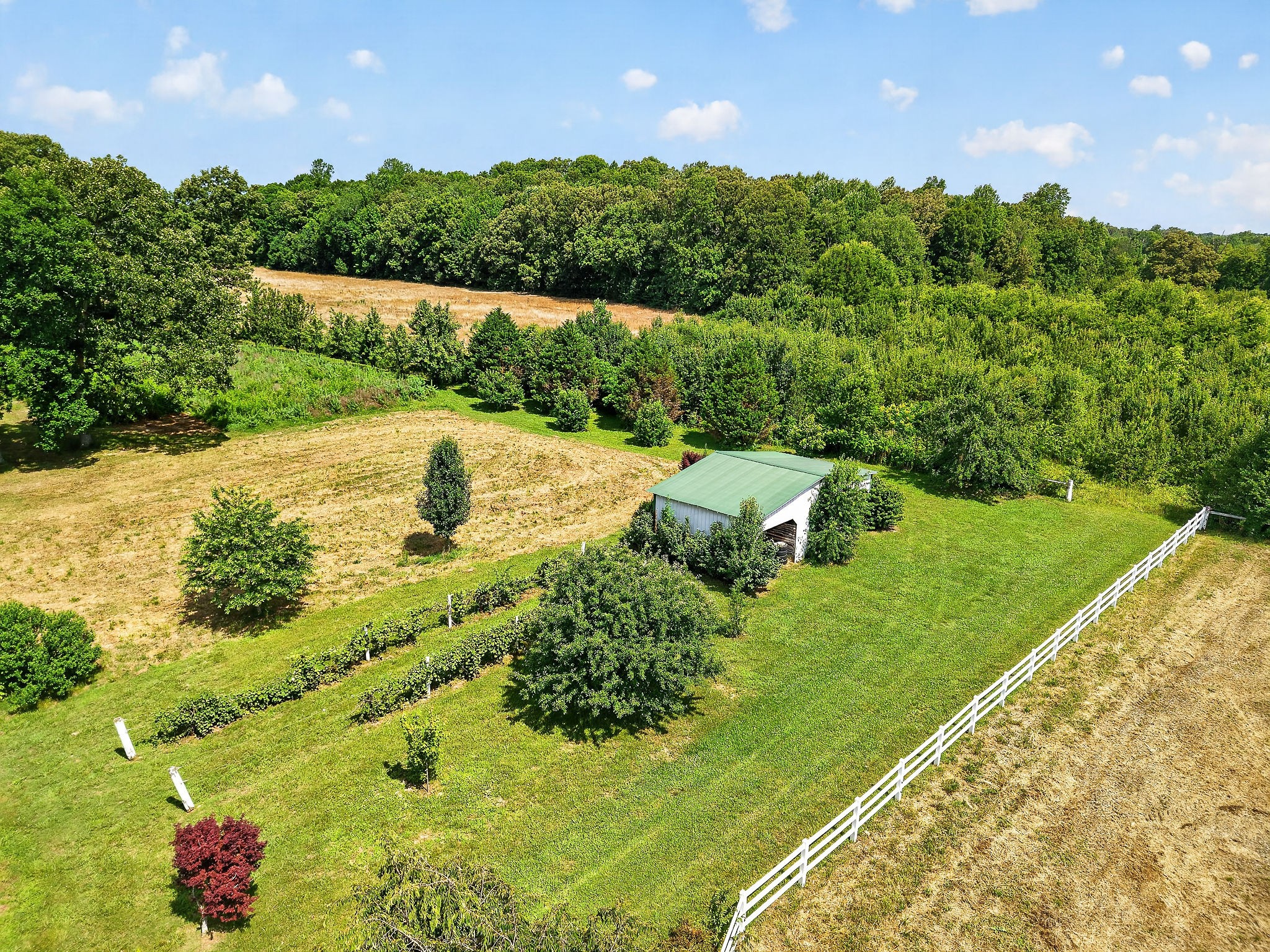 1600 Magness Road McMinnville, TN 37110 - Photo 45 of 63