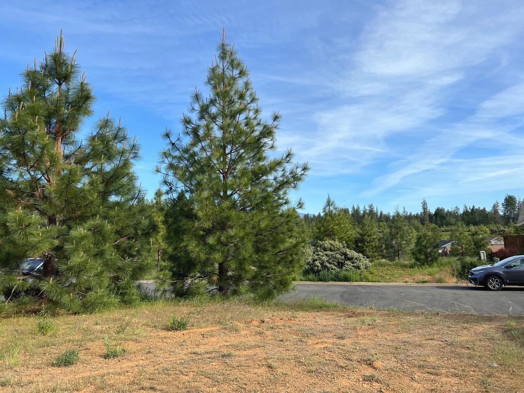 341 Cedar Ridge Drive Cave Junction, OR 97523 - Photo 11 of 21 Lot view 11