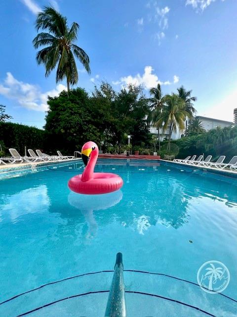 255 West 24th Street, Unit 308 Miami Beach, FL 33140 - Photo 25 of 31 a front view of a house with swimming pool garden and patio
