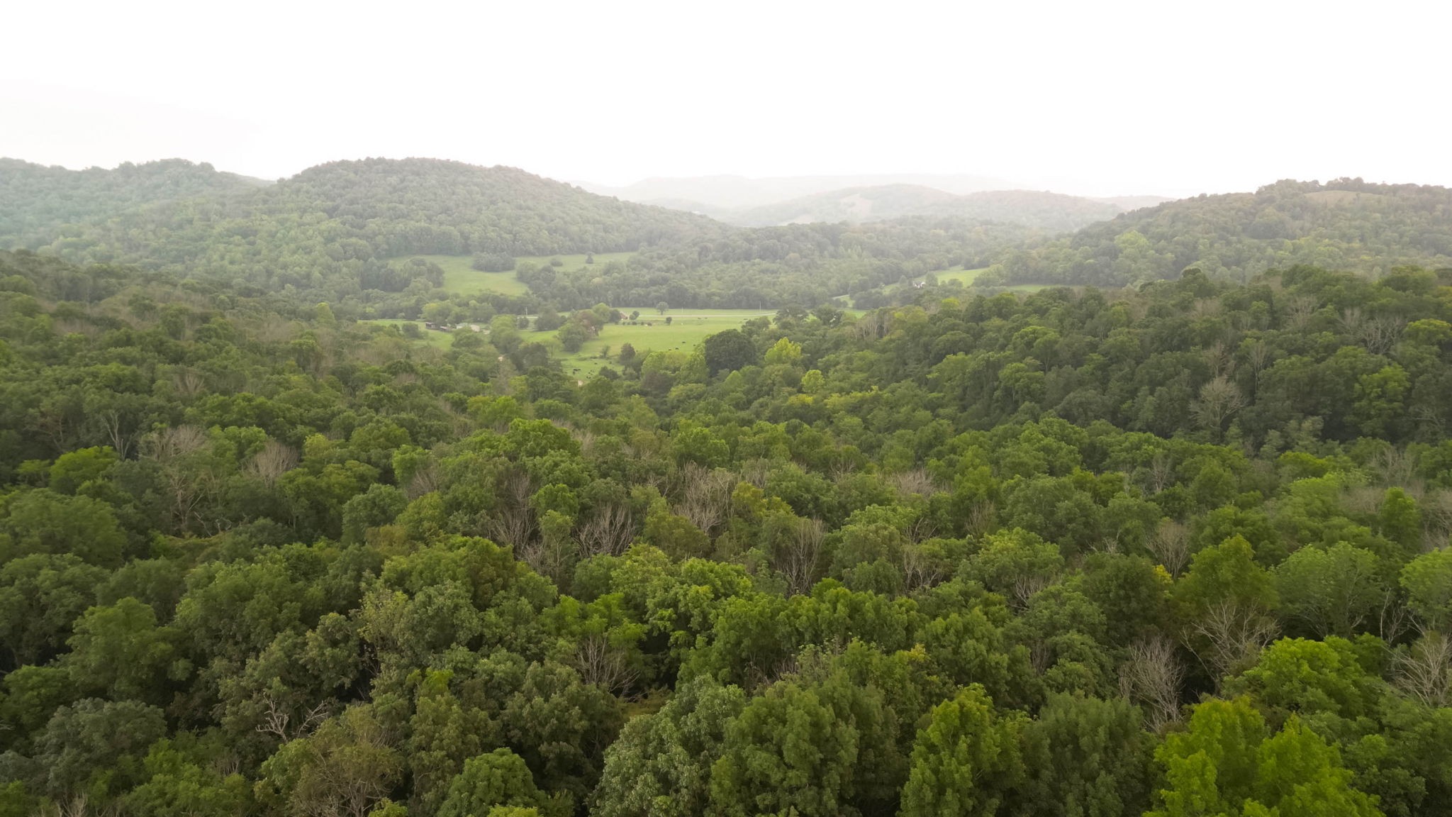 1 East Potter Road Alexandria, TN 37012 - Photo 45 of 50 Gallery Image 45