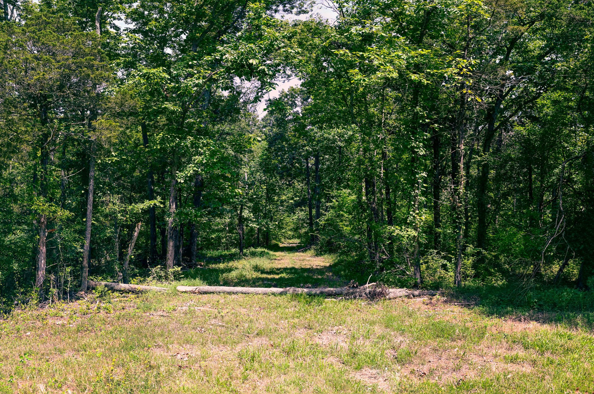 1 East Potter Road Alexandria, TN 37012 - Photo 48 of 50 Gallery Image 48