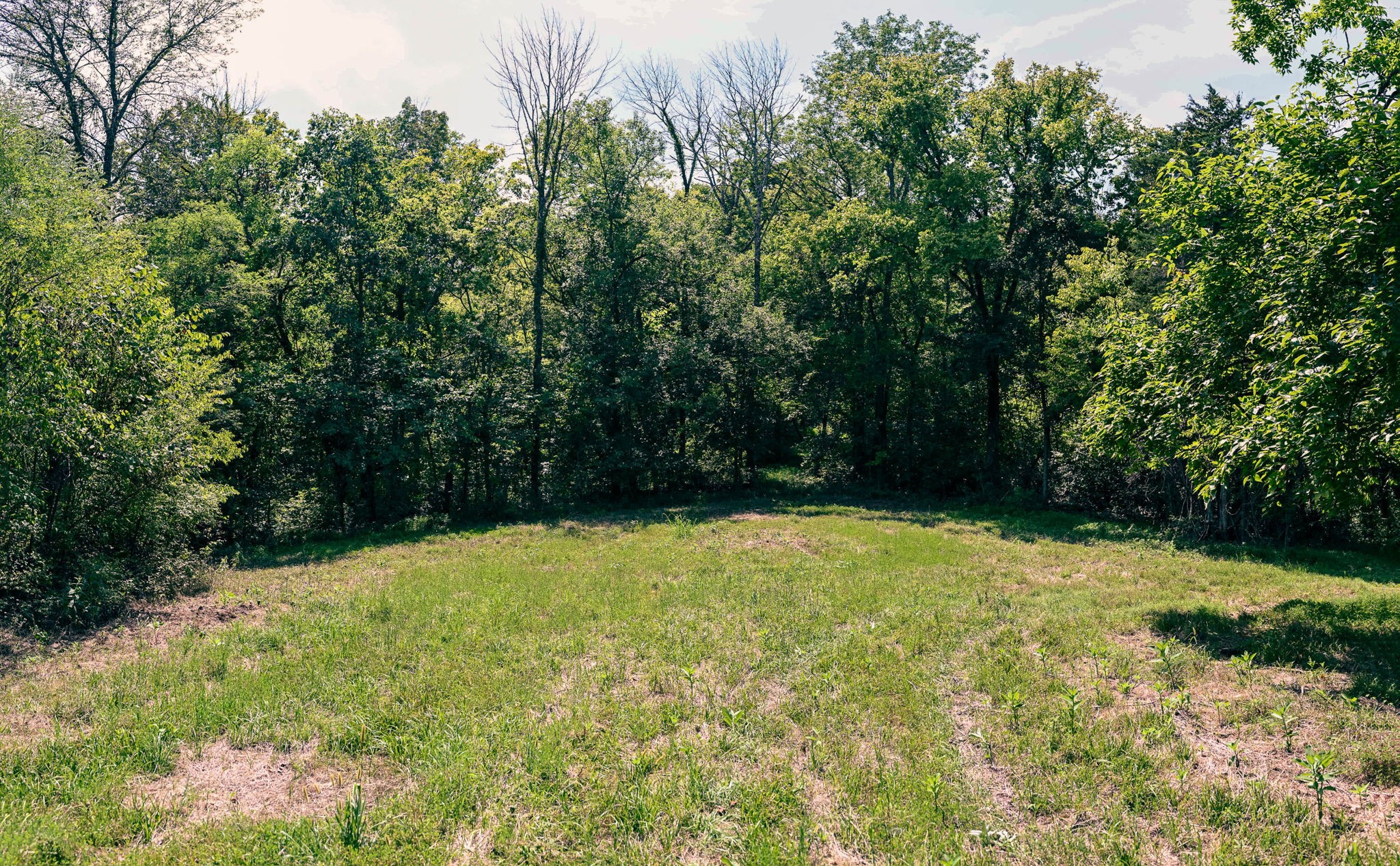 1 East Potter Road Alexandria, TN 37012 - Photo 10 of 50 Gallery Image 10