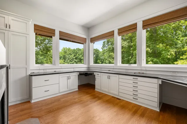 a view of a yard with plants