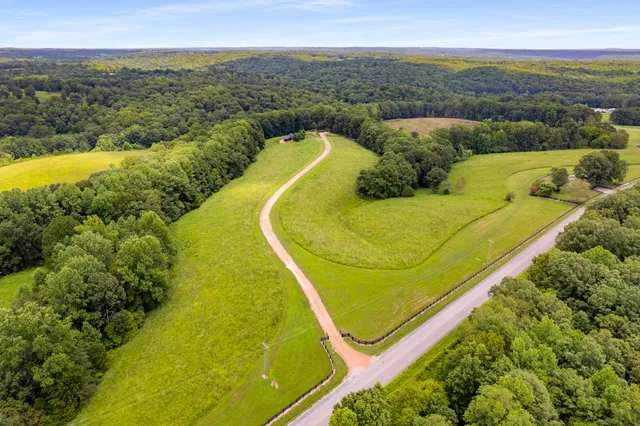 a view of a city with lush green forest