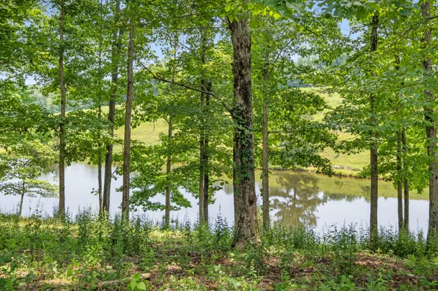 a view of an outdoor space yard and entertaining space