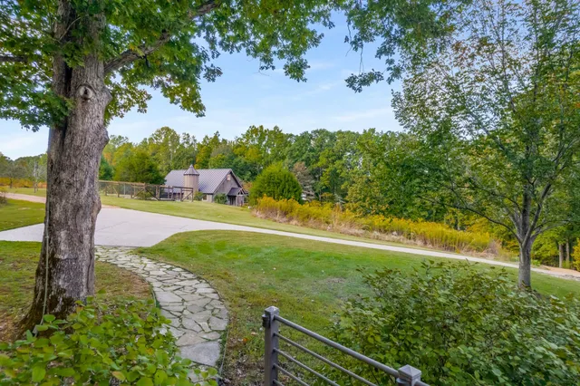 a view of a yard with large tree
