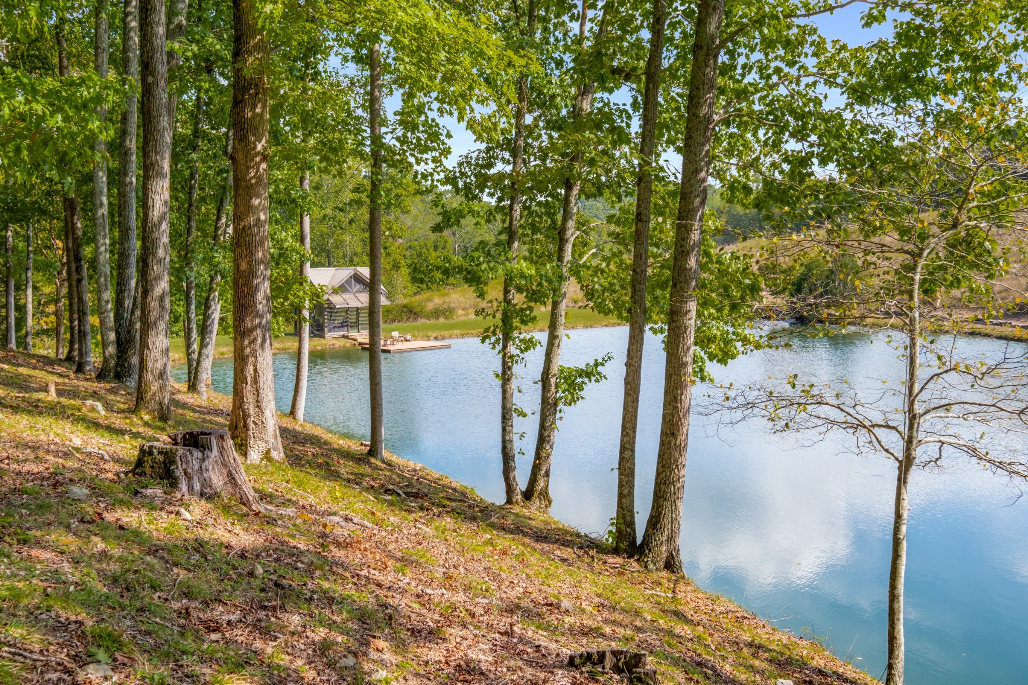 7909 Shoals Branch Road Primm Springs, TN 38476 - Photo 43 of 87