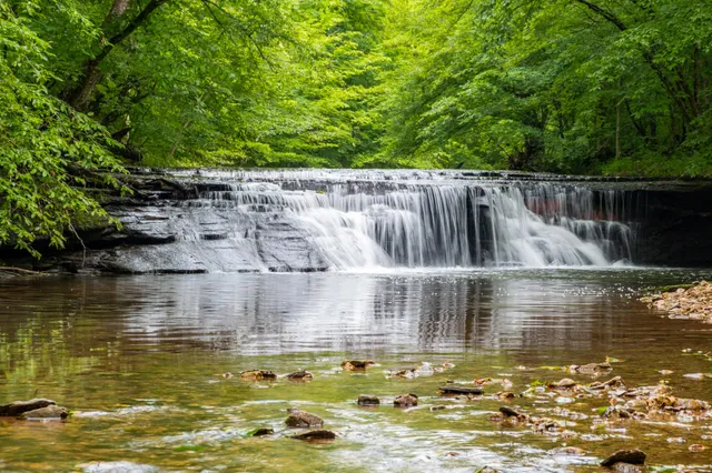 $7,480,000 | 7909 Shoals Branch Road, Primm Springs, TN 38476